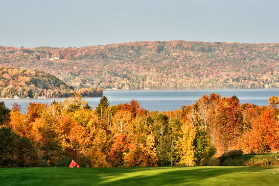 fall colors